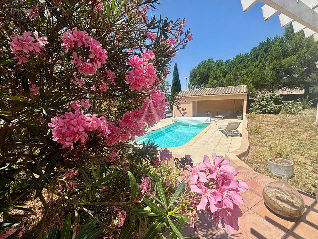 PALAJA ? Maison de plain-pied avec piscine, jardin et vue dégagée sur le clocher - photo 3