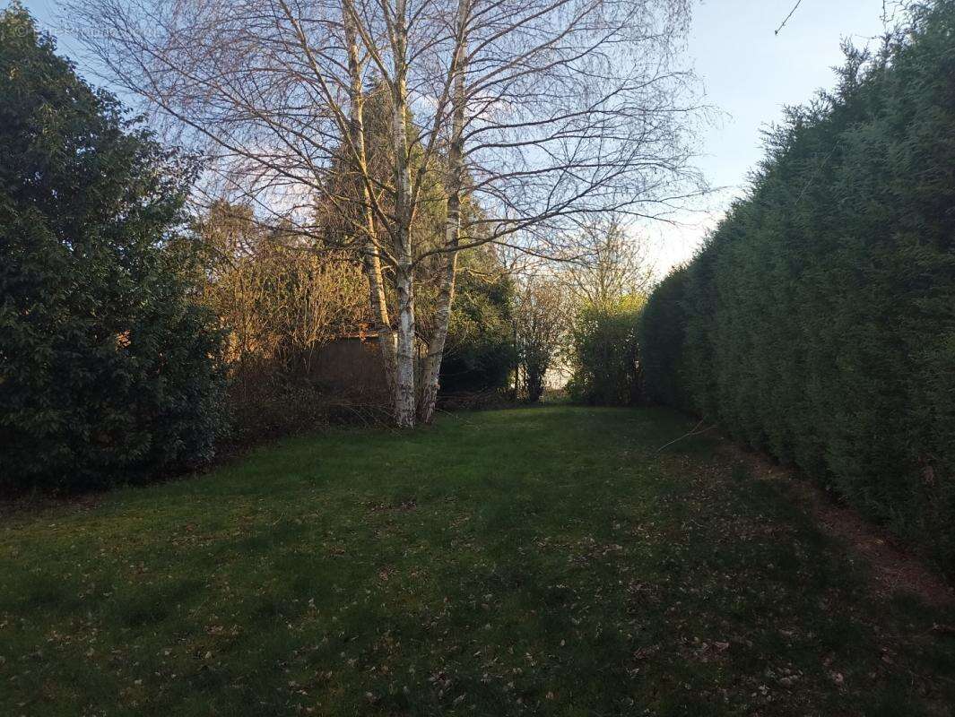 Maison à SAINT-HILAIRE-LEZ-CAMBRAI