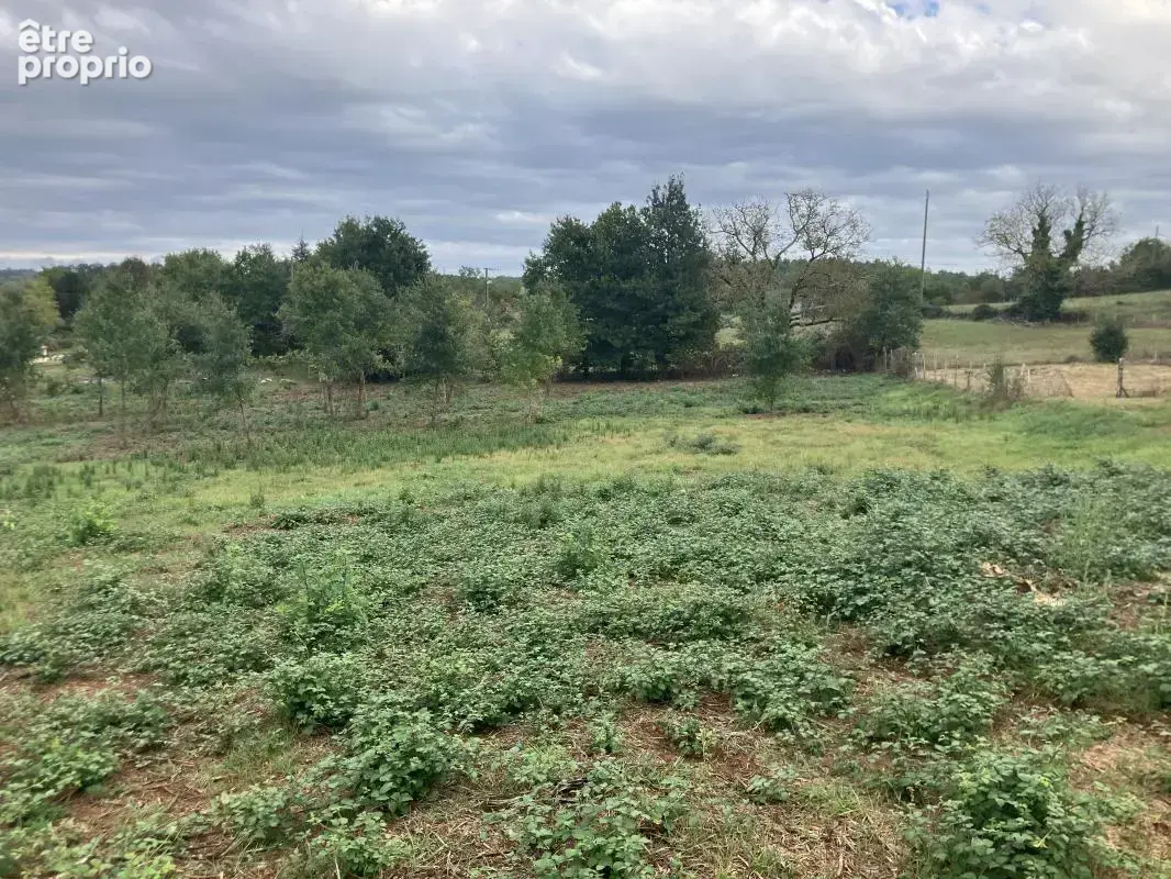 Terrain à vendre à Larzac de 5771 m2 - photo 5