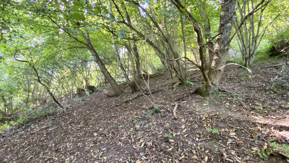 Maison à ARGELES-GAZOST