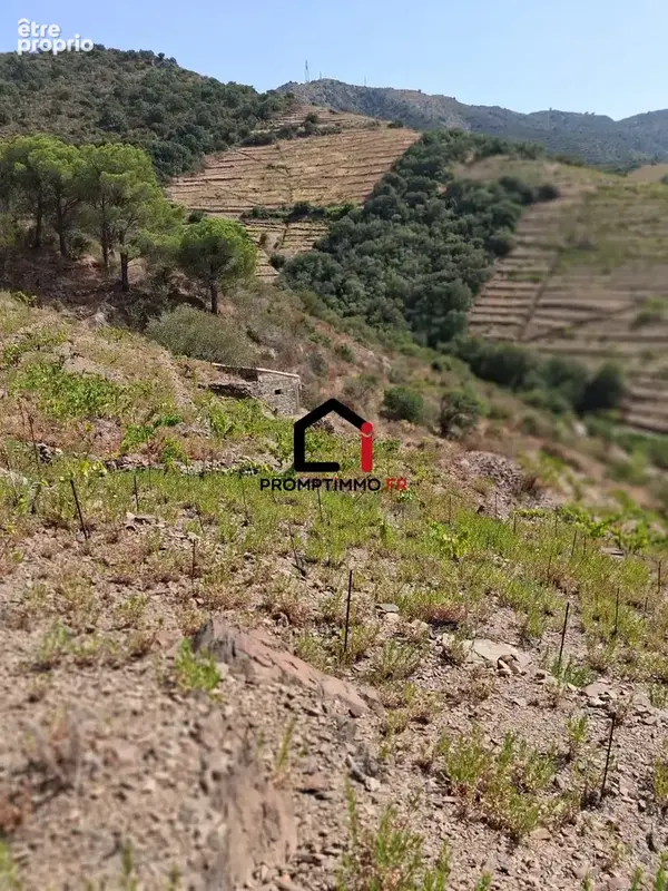 Terrain 7859 m² à Banyuls-Sur-Mer  - photo 5