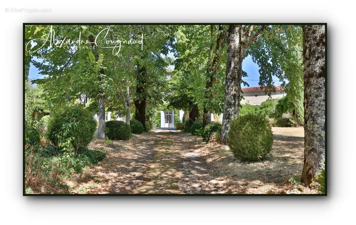 A vendre Roquecourbe (81) — Maison de maître XIXe, 500 m², 10 chambres, parc piscinable 2 271 m² — Aux portes du Sidobre - photo 13