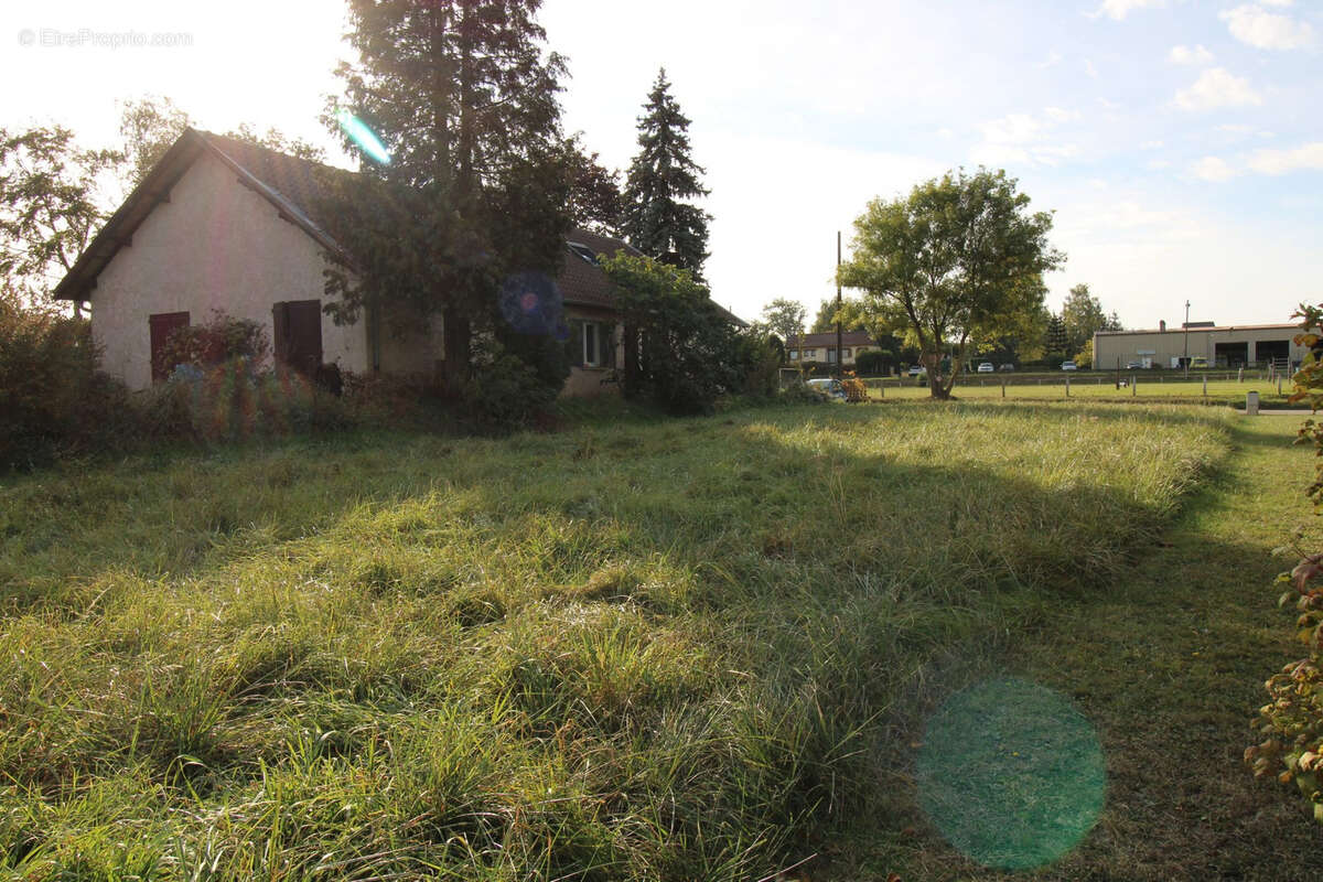 Terrain à SILLEGNY