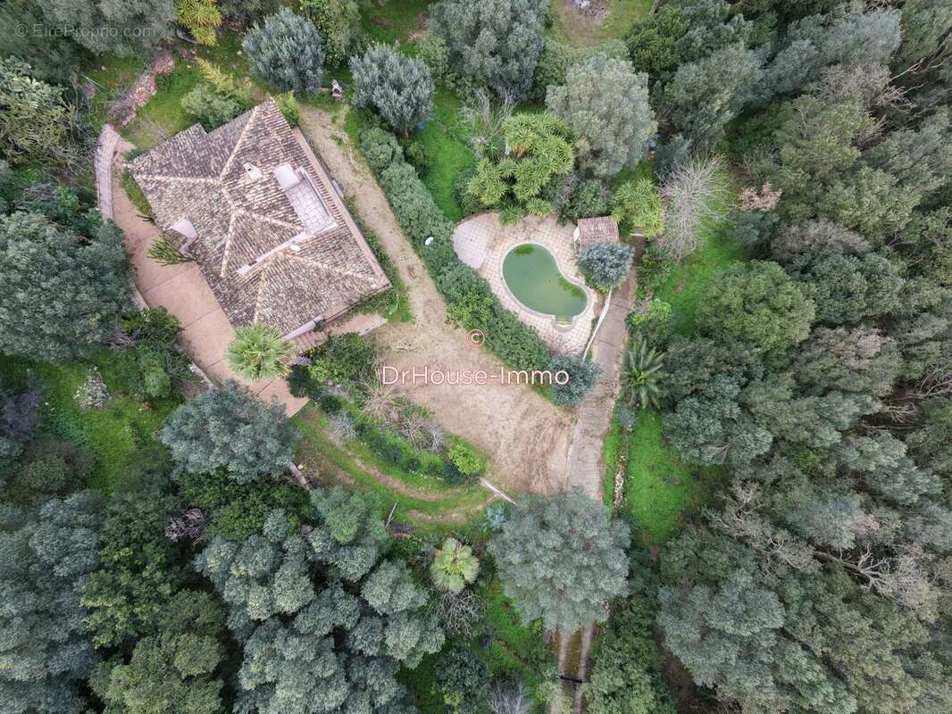 Maison à PORTO-VECCHIO