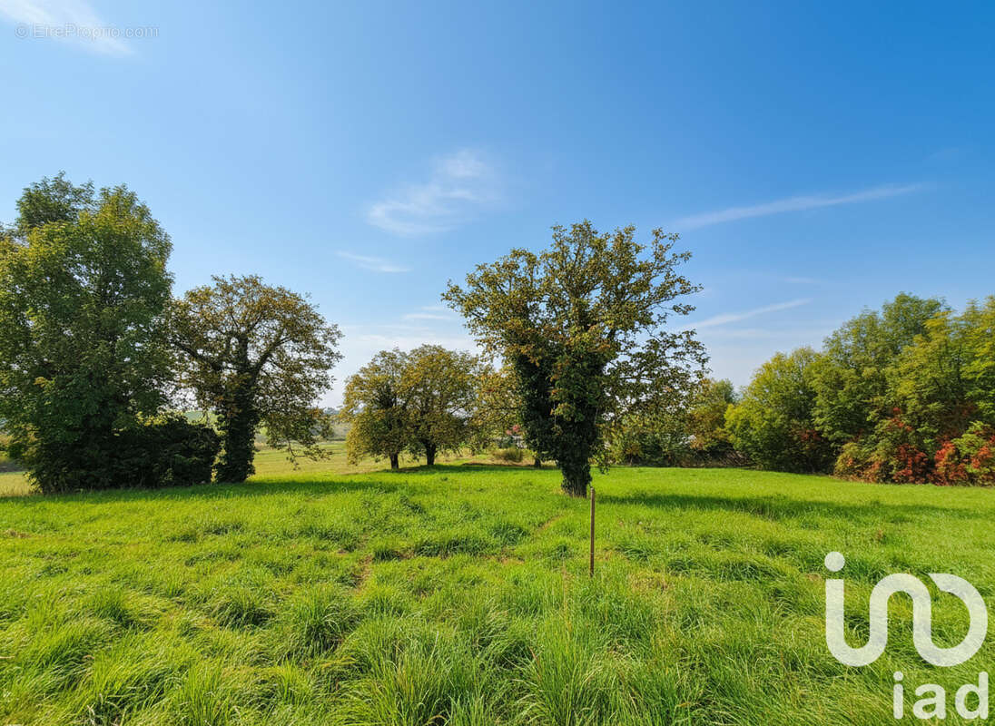 Photo 4 - Terrain à BEAUREGARD-VENDON