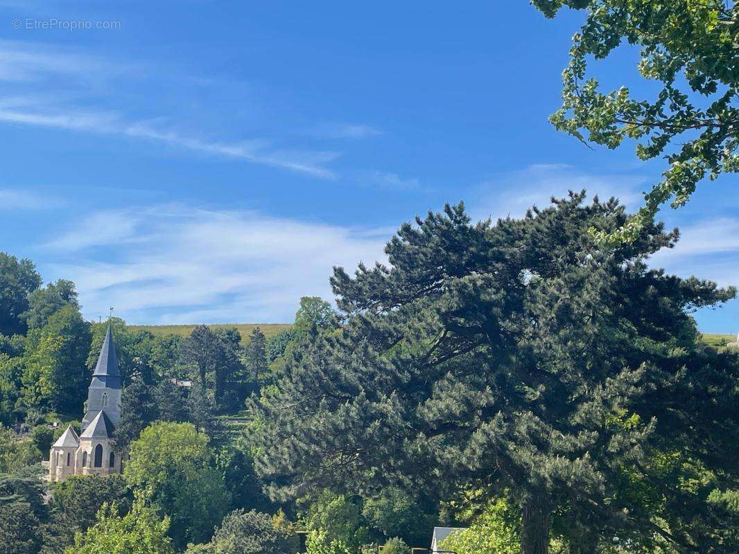 Terrain à VEULETTES-SUR-MER