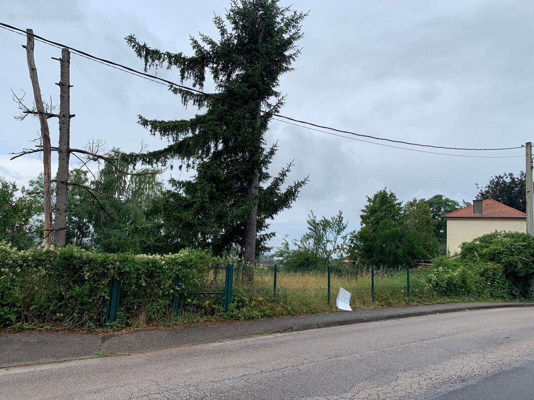 Terrain constructible clos et plat - photo 2
