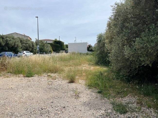 Terrain à PLAN-DE-CUQUES