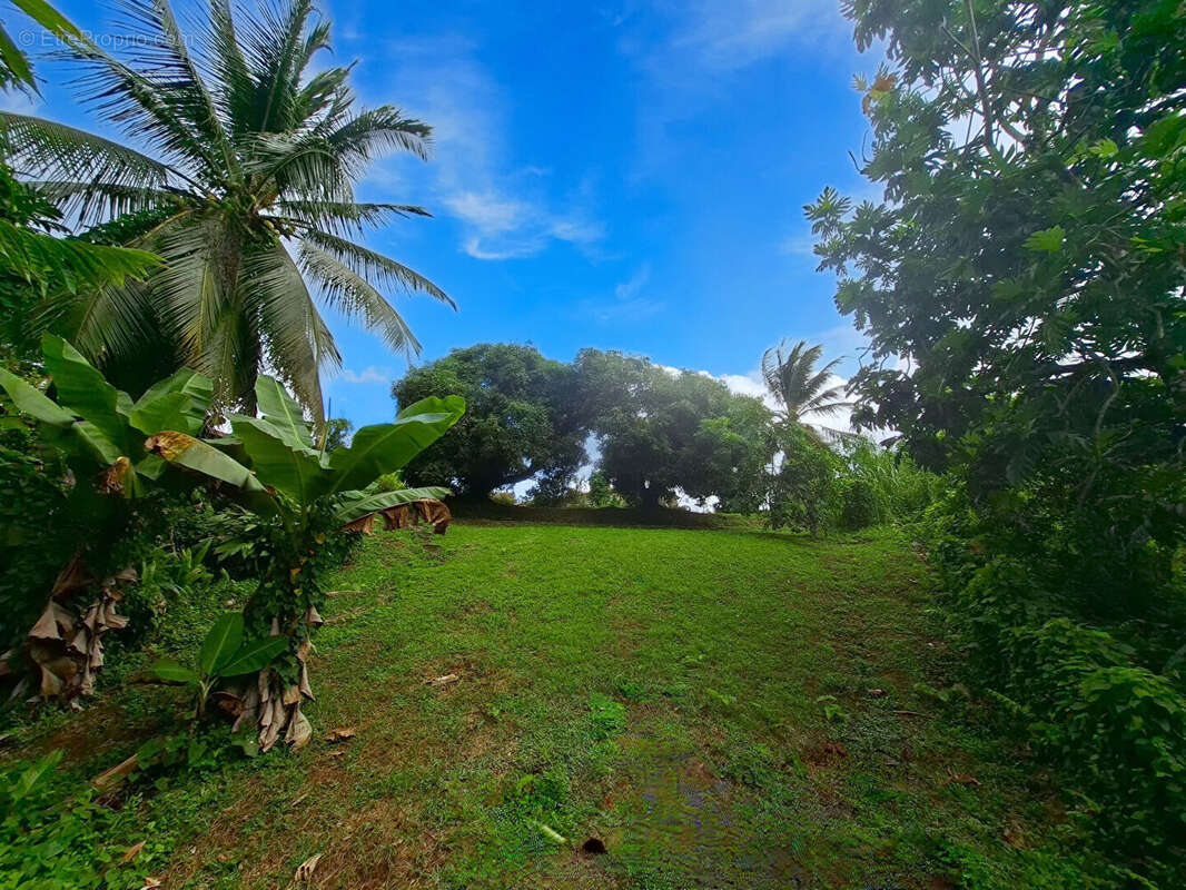 Maison à RIVIERE-PILOTE