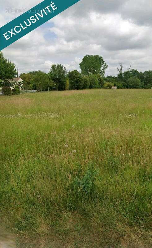 Photo 2 - Terrain à PISANY