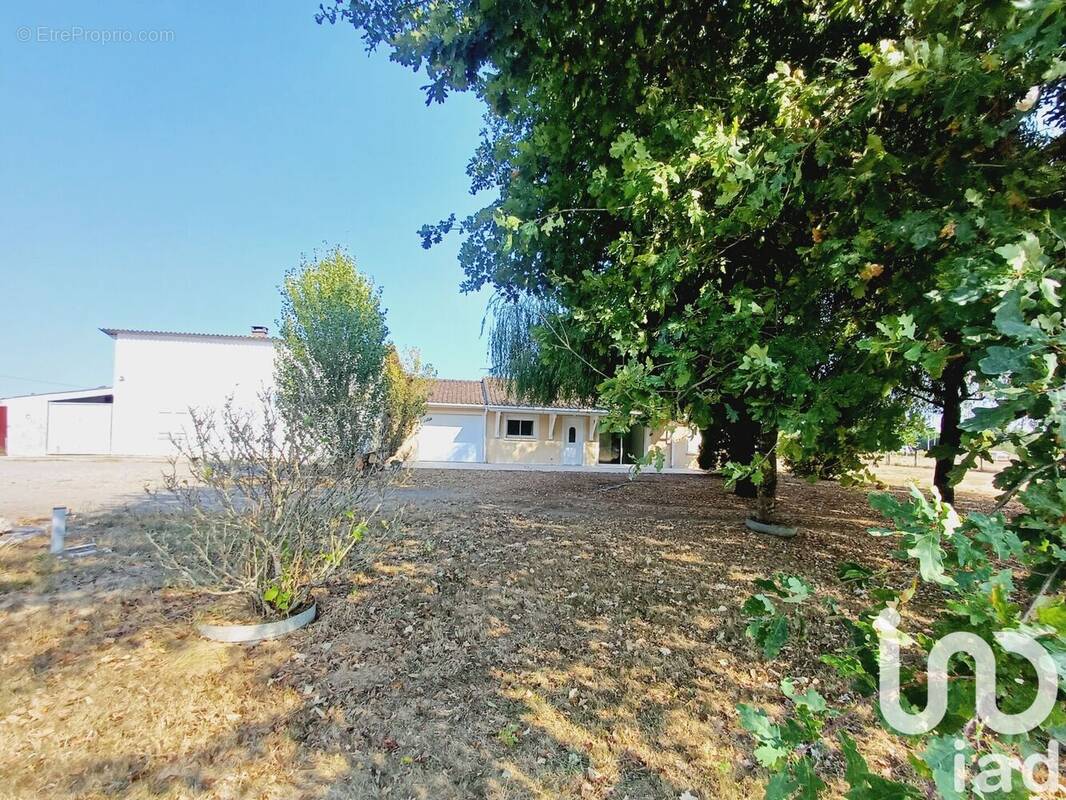 Photo 1 - Maison à LESPARRE-MEDOC