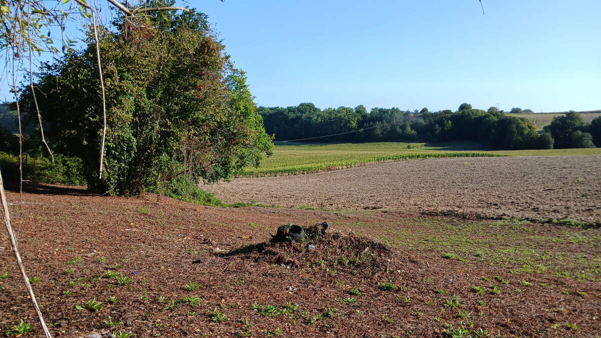 Maison à MONTMOREAU-SAINT-CYBARD