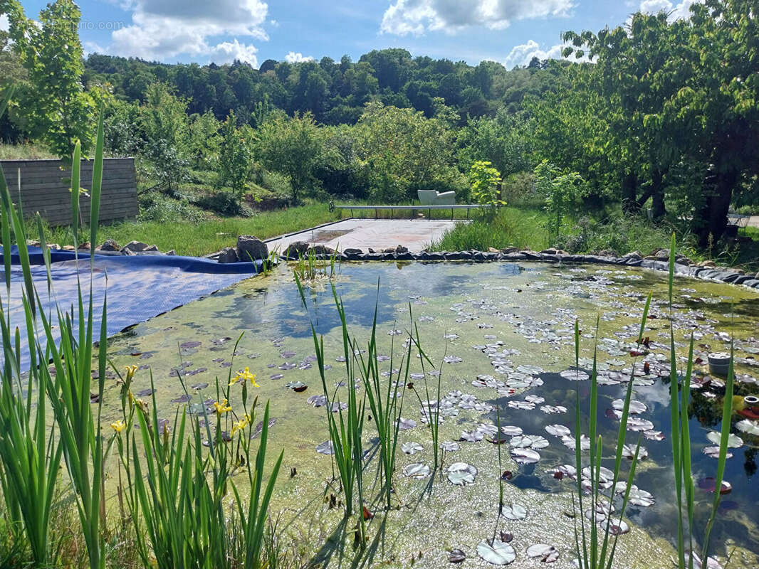 QUARTIER SAINT-BENOÎT / SAINT-MARCEL  :  Maison  de 7 pièces sur deux niveaux -  152 m2 - Jardin de 1800 m² avec Piscine Naturel - photo 18