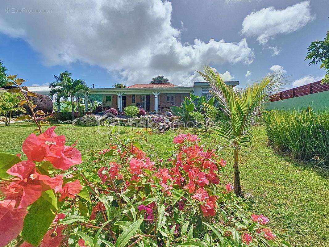 Maison à SAINT-FRANCOIS