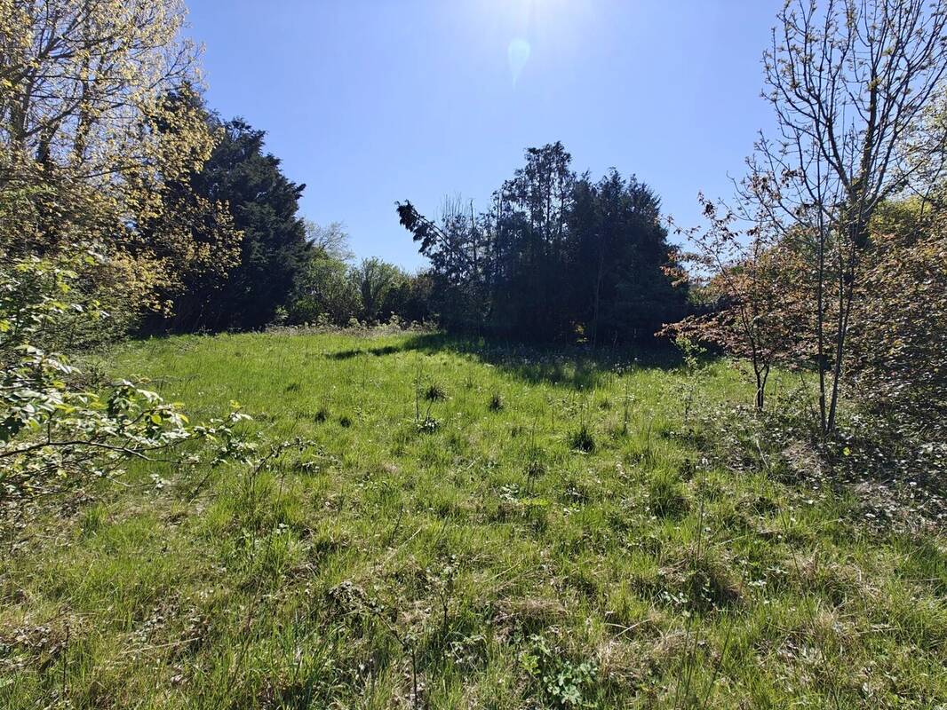 Terrain à BRIONNE