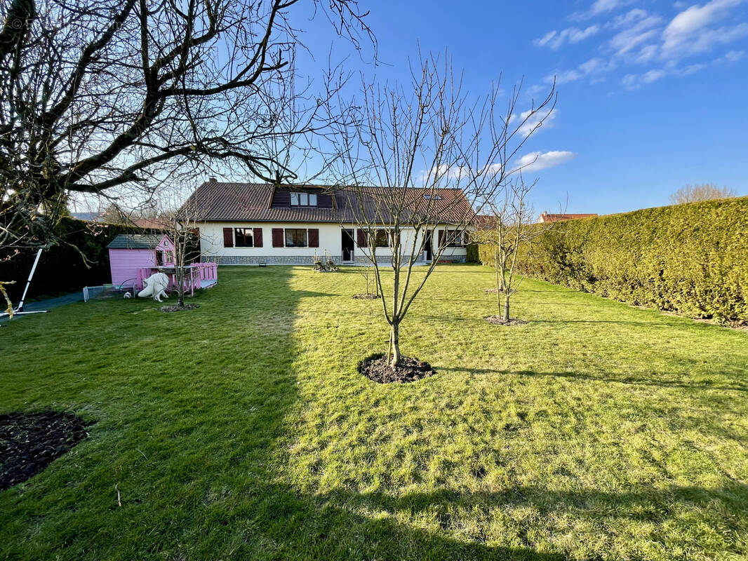 Maison à HERBINGHEN