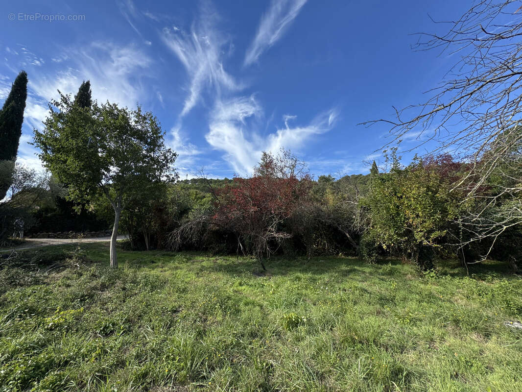 Terrain à CARNOULES