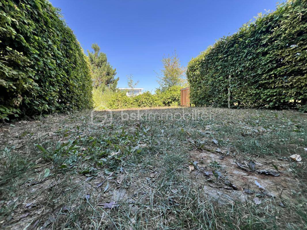 Appartement à BEZANNES