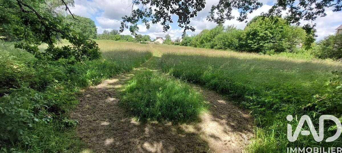 Terrain 8771 m² à Lepaud  - photo 2