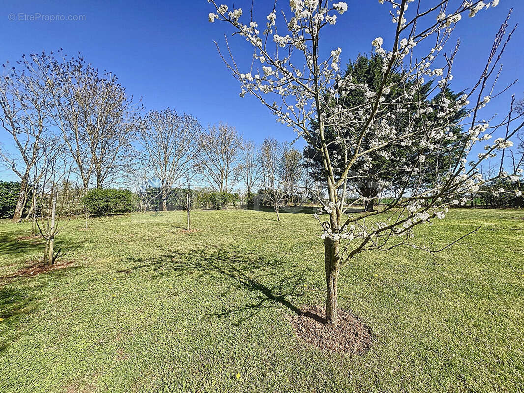 Maison à LA GRIMAUDIERE