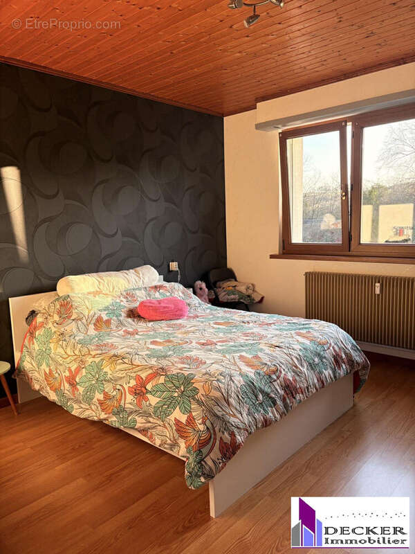 Appartement à INGWILLER