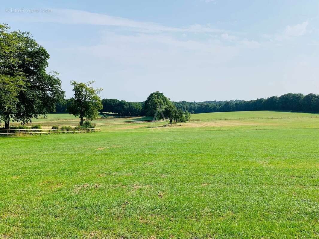 Maison à LA FERTE-MACE