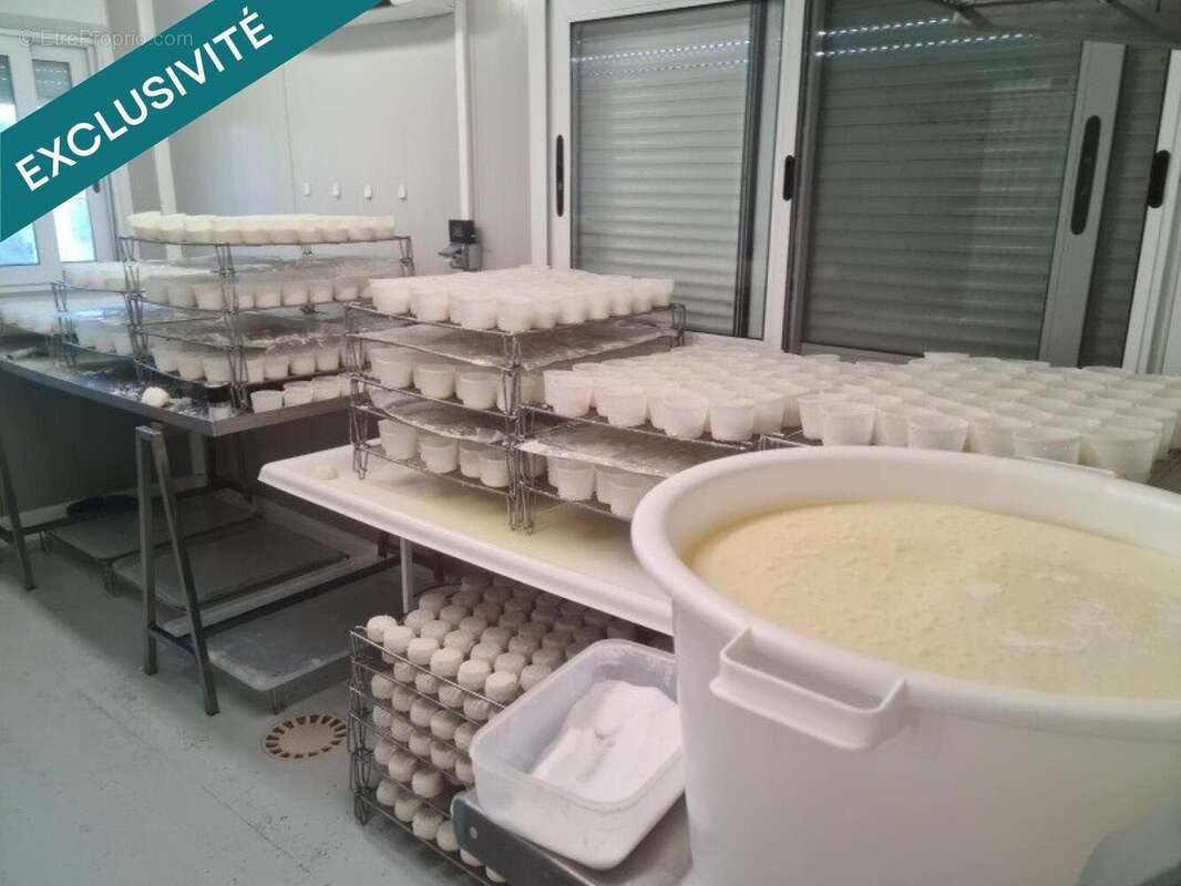 Photo 3 - Terrain à SAINT-MARTIN-DE-CASTILLON