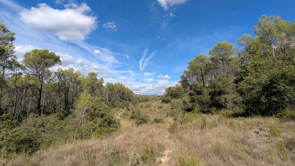 Terrain à ENTRECASTEAUX
