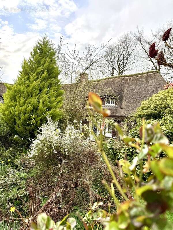 Maison à SAINT-LEONARD