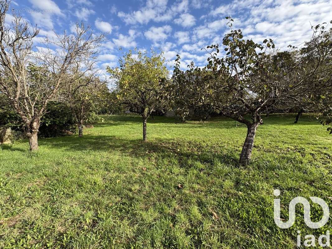 Photo 9 - Terrain à SAINT-AGNANT