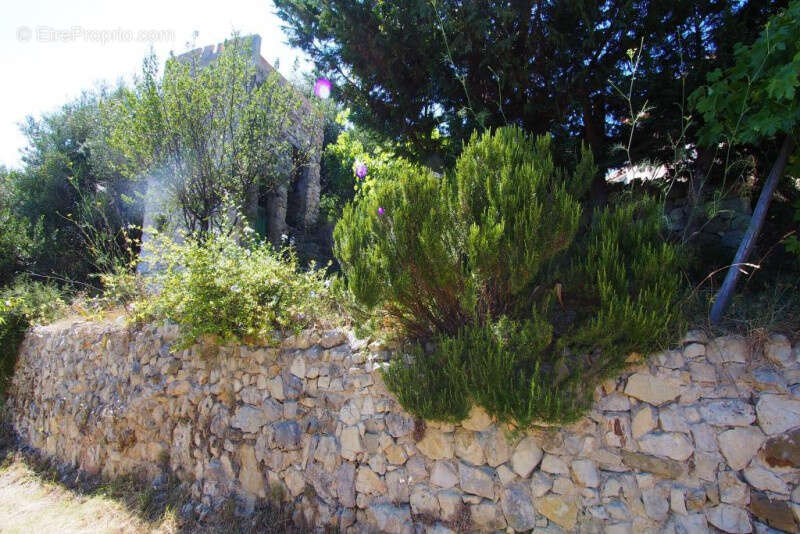 Maison à LA TRINITE