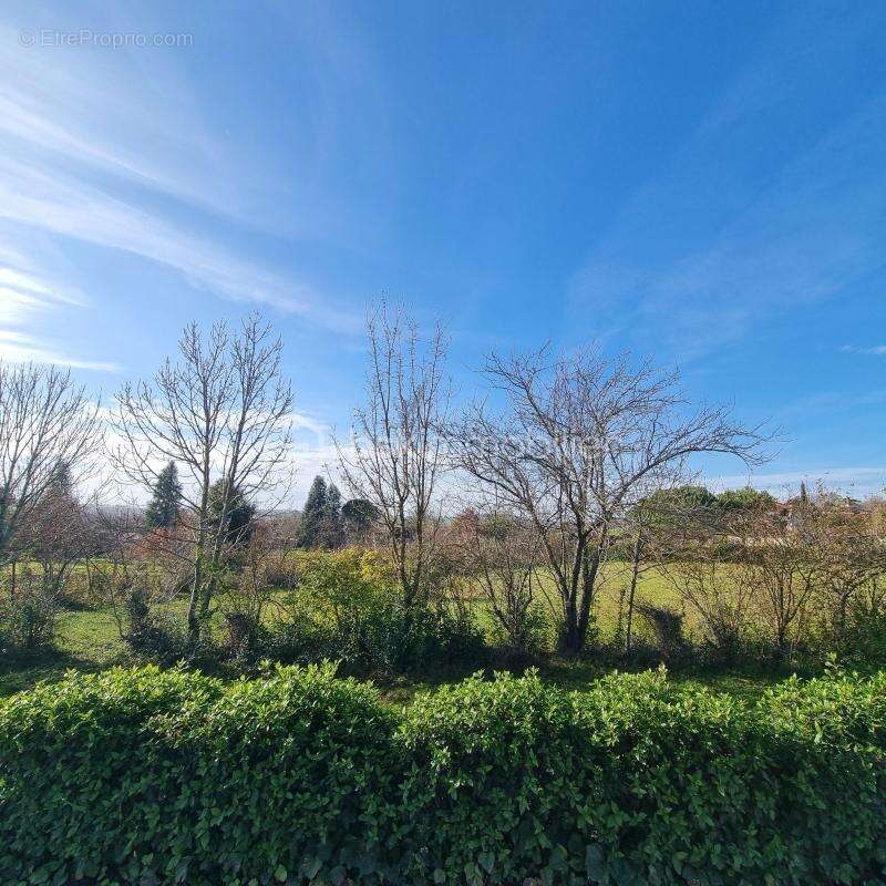 Terrain à SAINT-PUY