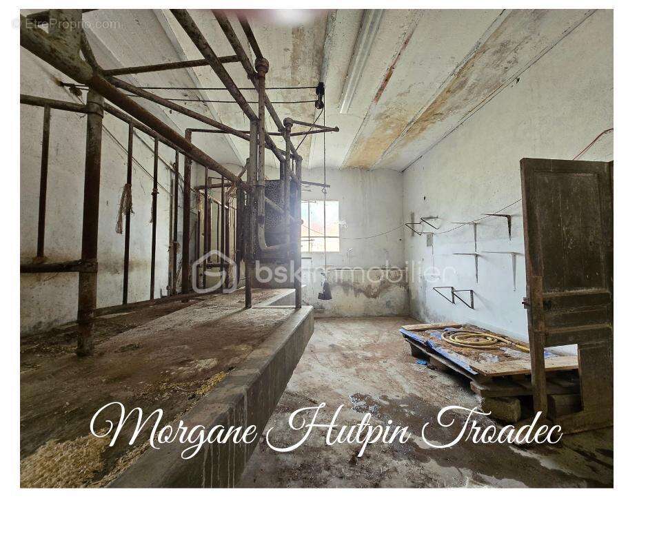 Maison à COURLON-SUR-YONNE