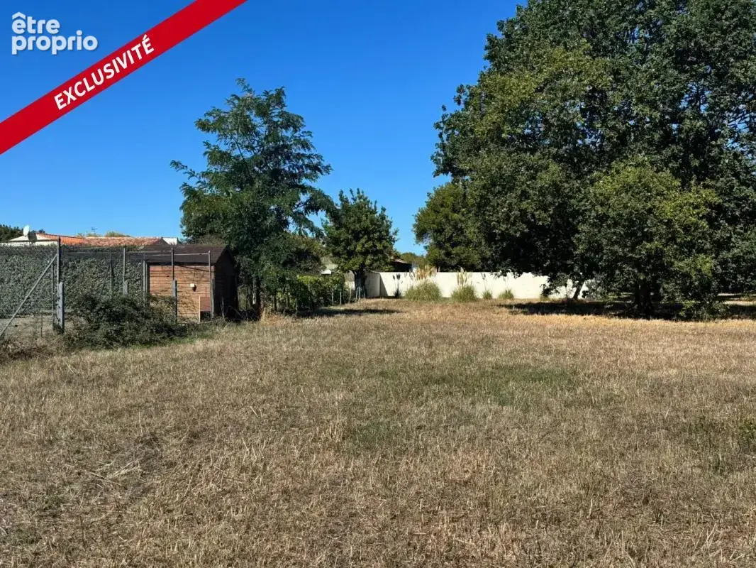 Dolus d'oleron - terrain à bâtir de 1058 m² – beau potentiel de construction - photo 3