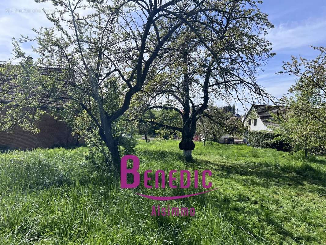 Terrain à ALTECKENDORF