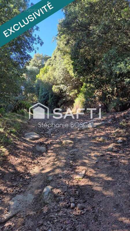 Photo 3 - Terrain à PIETROSELLA