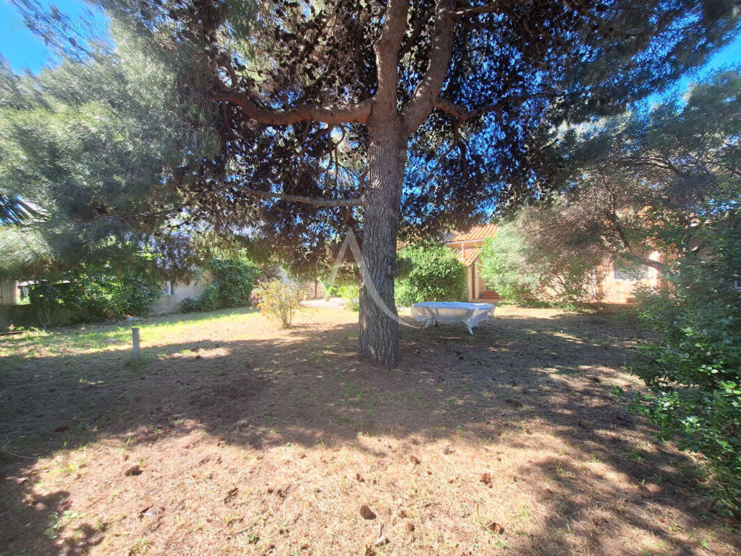 Maison Sète 5 pièces 150 m² - photo 15