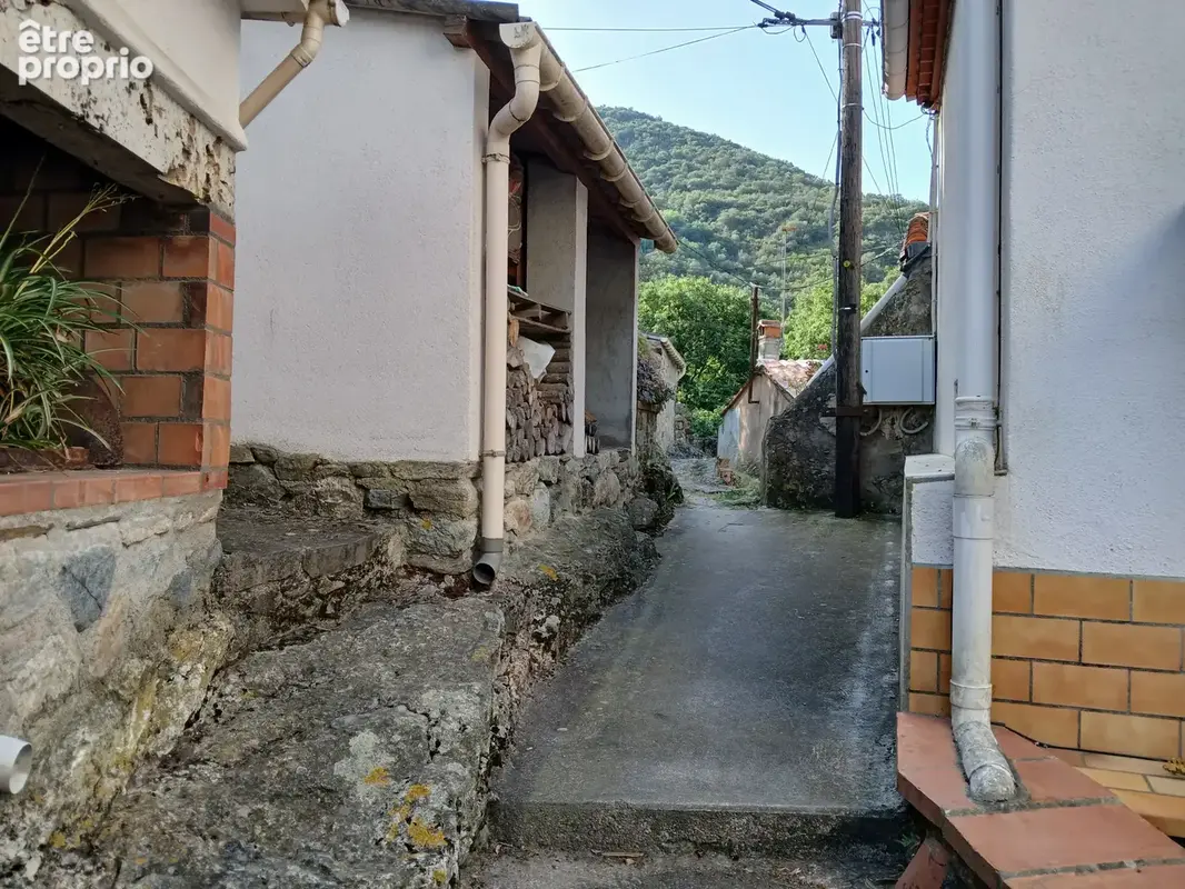 Mas en pierre à Reynes - photo 12