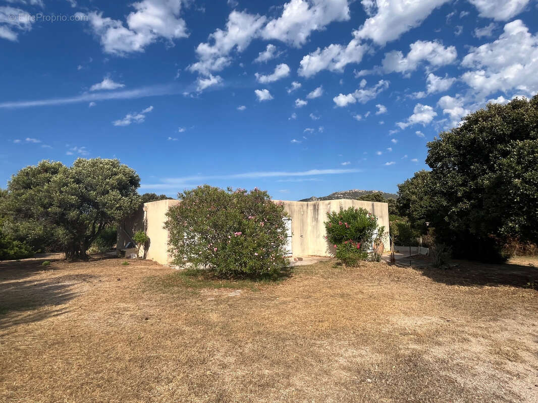 Propriété 4 logements à 1 km des plages - proche de la Réserve Naturelle de Spanu - photo 3