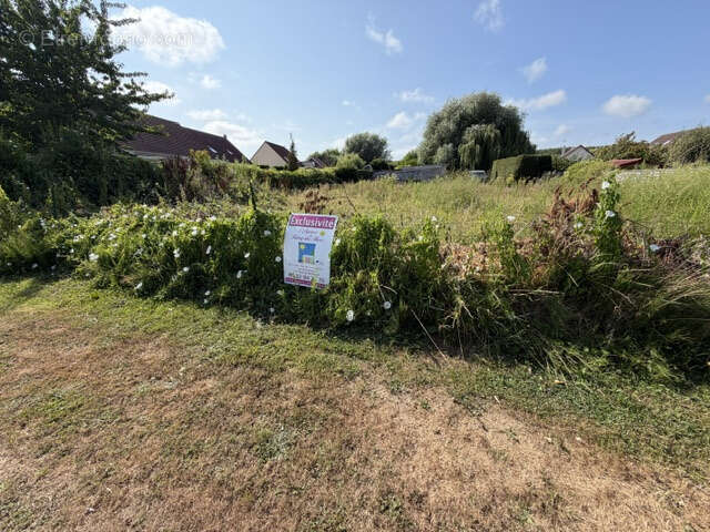 Terrain à bâtir - photo 7