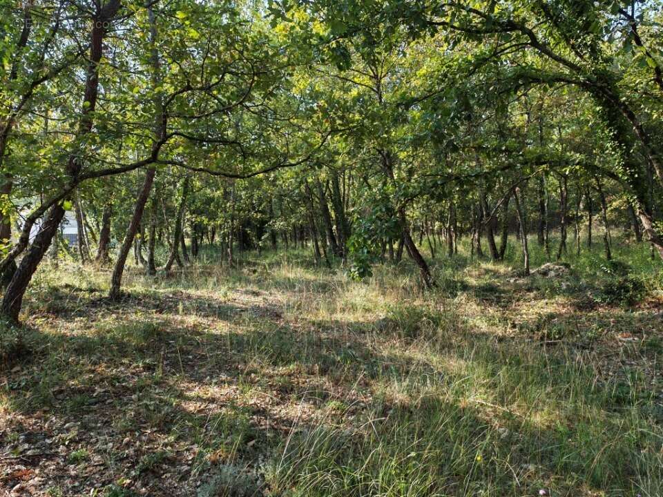 Terrain à TRANS-EN-PROVENCE