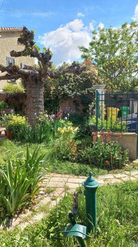 Maison à MORIERES-LES-AVIGNON