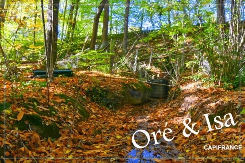 Terrain à SAINT-DESIRE