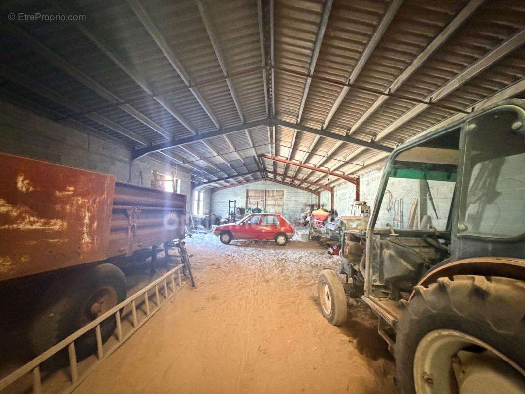Exclusivité – ensemble immobilier sur parcelle agricole : maison de plain-pied & hangar - photo 7