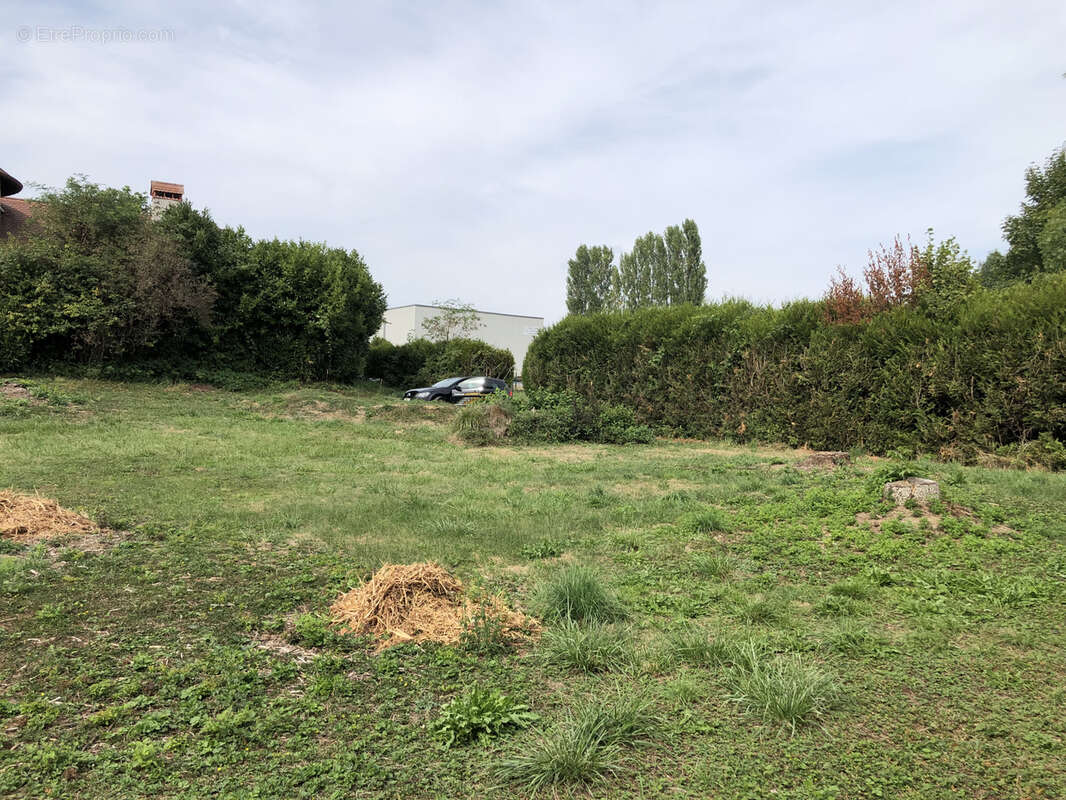 Terrain Costructible de  554m2- Groisy - photo 5