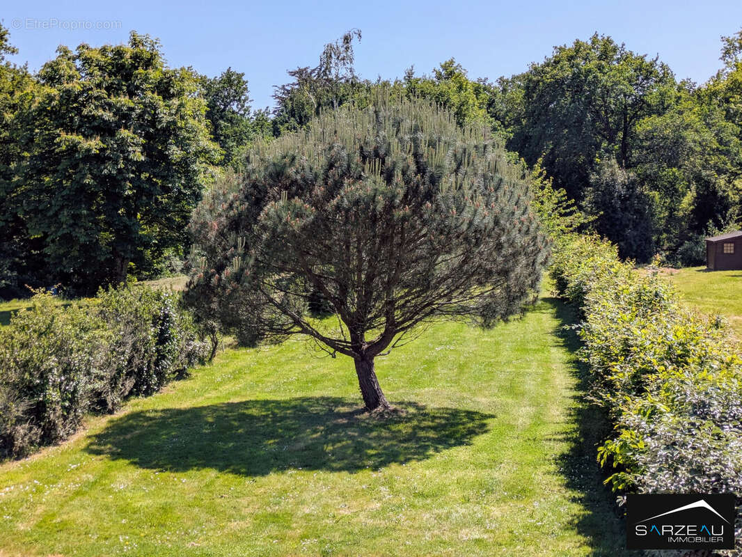 Maison à LE TOUR-DU-PARC