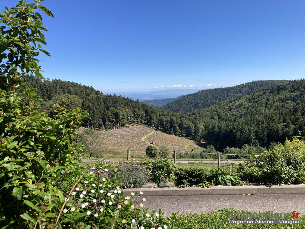 Appartement à AUBURE