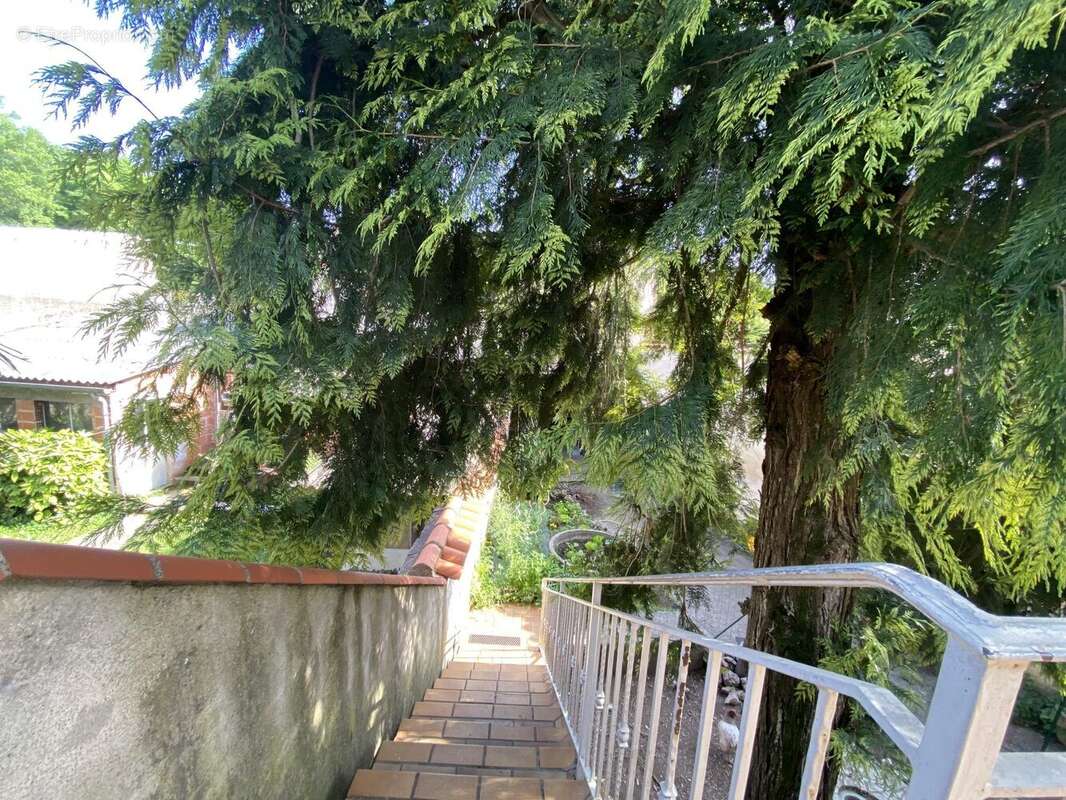 Photo 8 - Appartement à CARMAUX