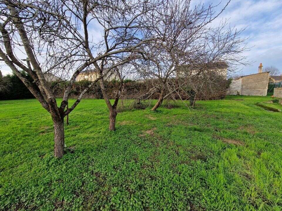 Terrain à CHAMPTOCE-SUR-LOIRE