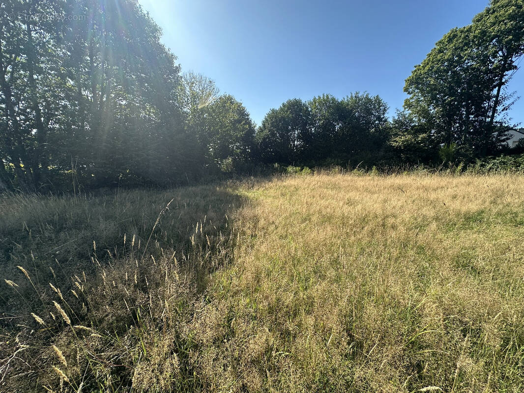 Terrain à BAUD